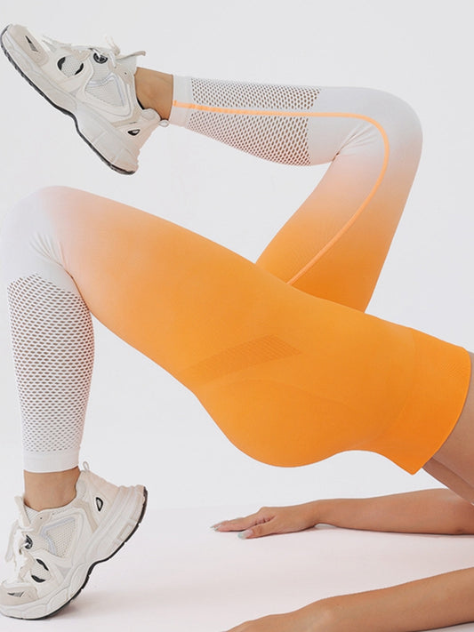 ZASUWA Female Ombre Fishnet Hot Booty Leggings