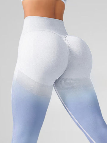 ZASUWA Female Ombre Seamless Booty Leggings
