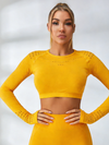 Long Sleeve Knit Seamless Fitness Long Sleeves